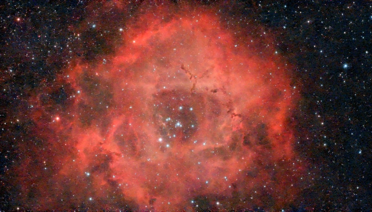 Rosette nebula