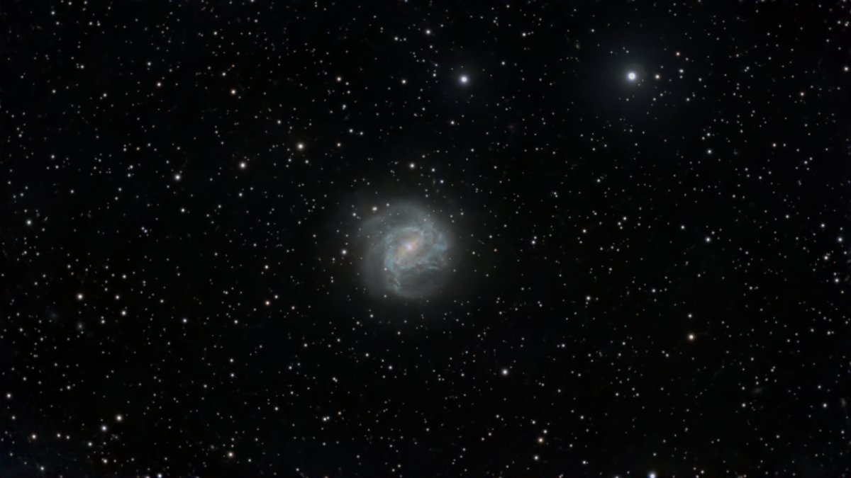 M83
