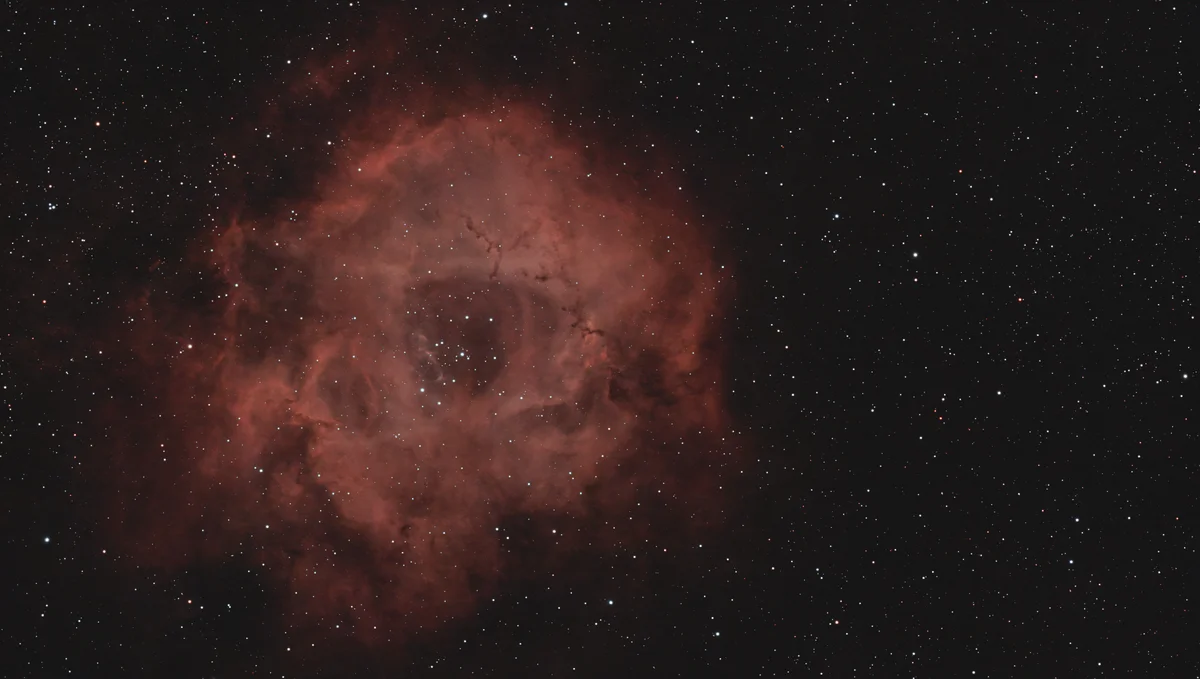 nebulosa rosetta o teschio?