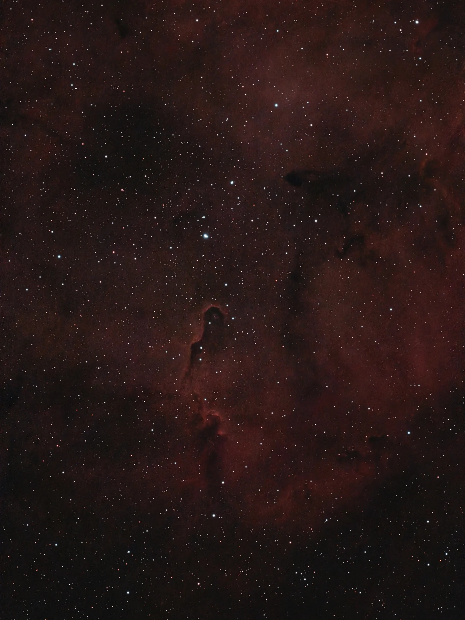 Zoom sur VdB 142. IC 1396/ Cephée.