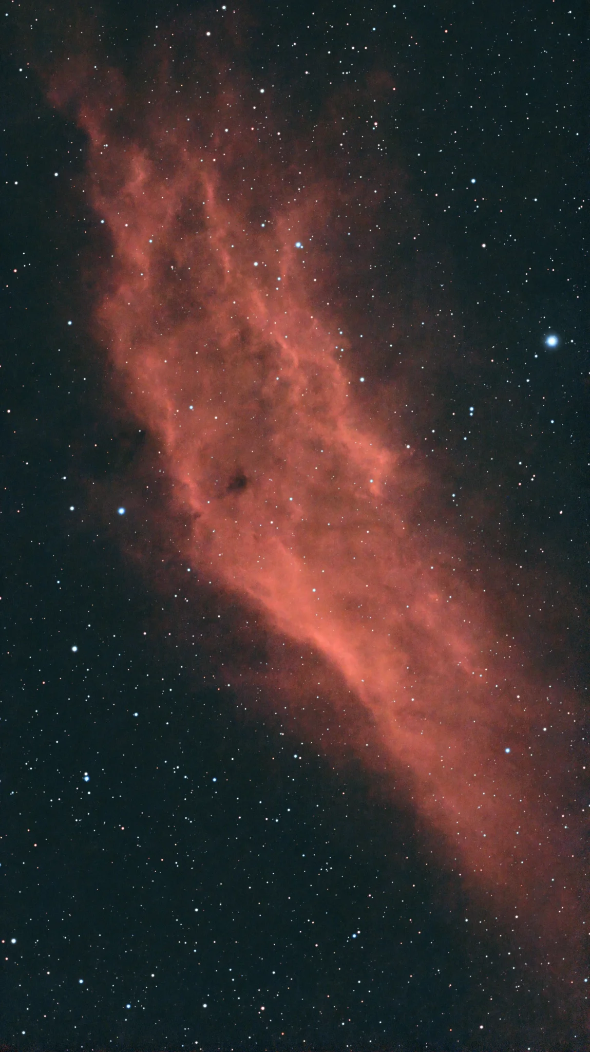 NGC 1499 /Persée.