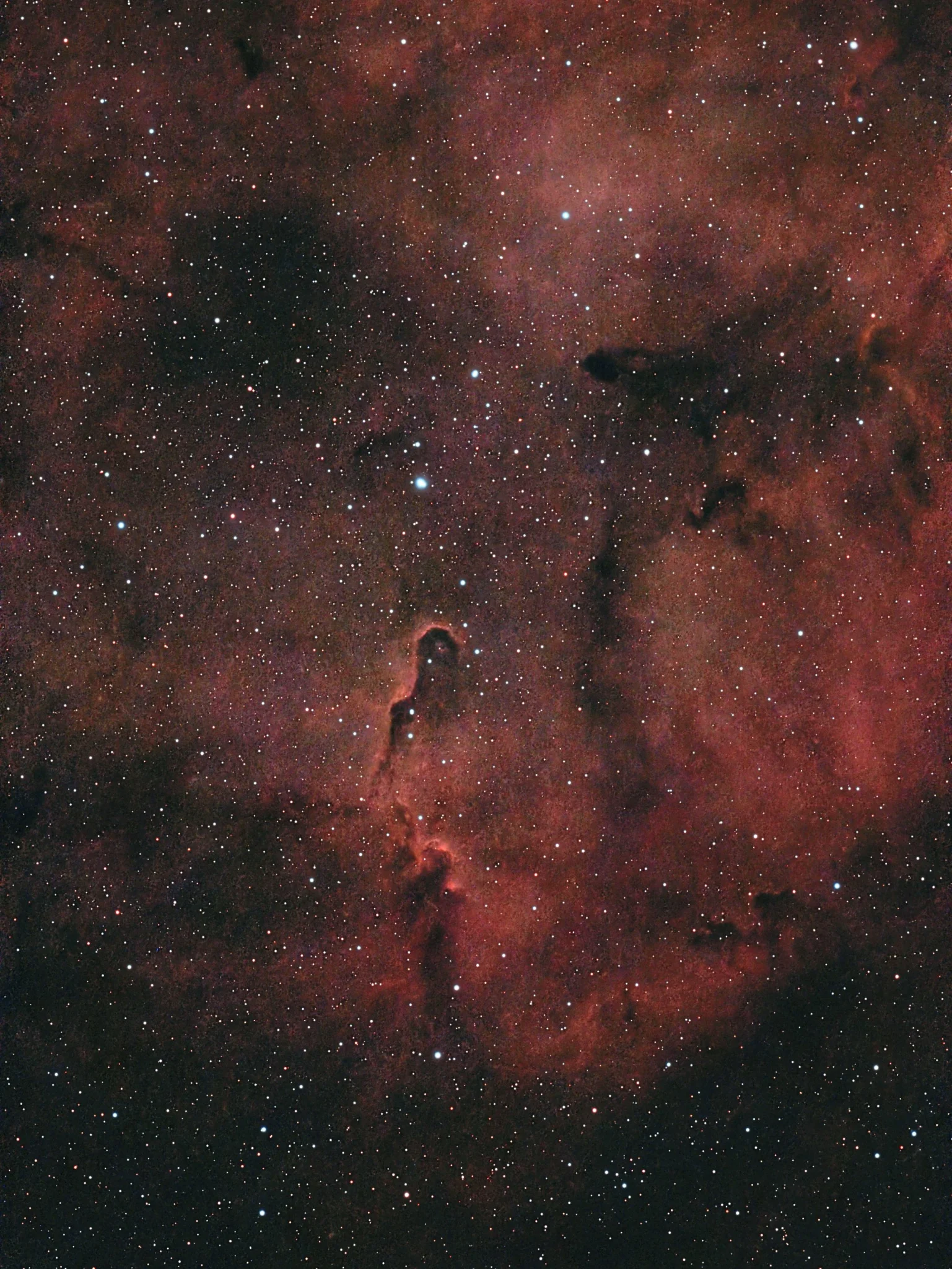 Zoom sur VdB 149. IC1396/Cephée. Post modif.