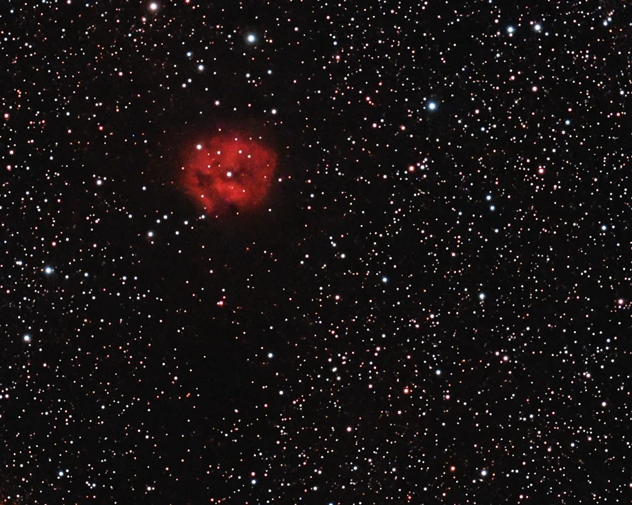 C19