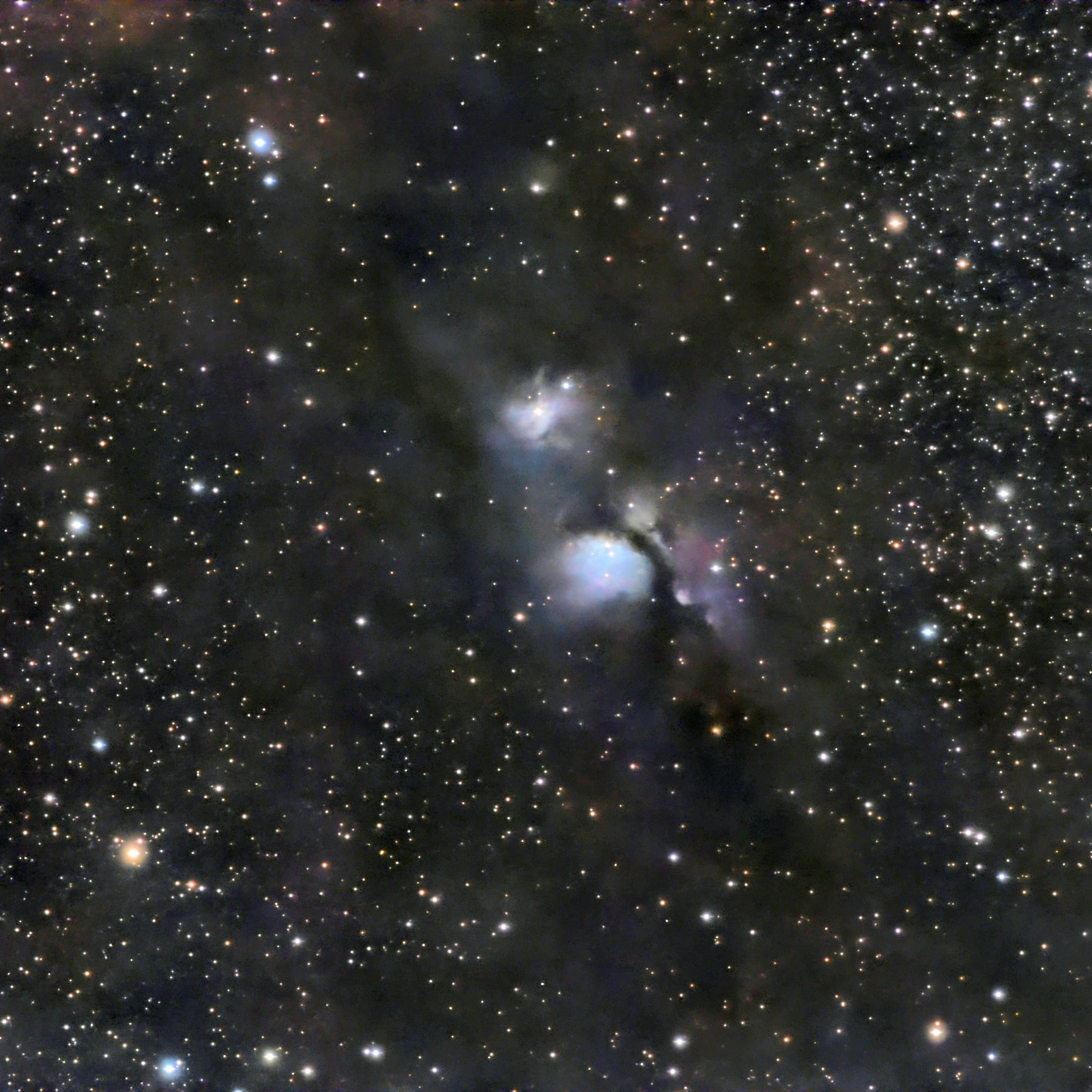 M78/C19