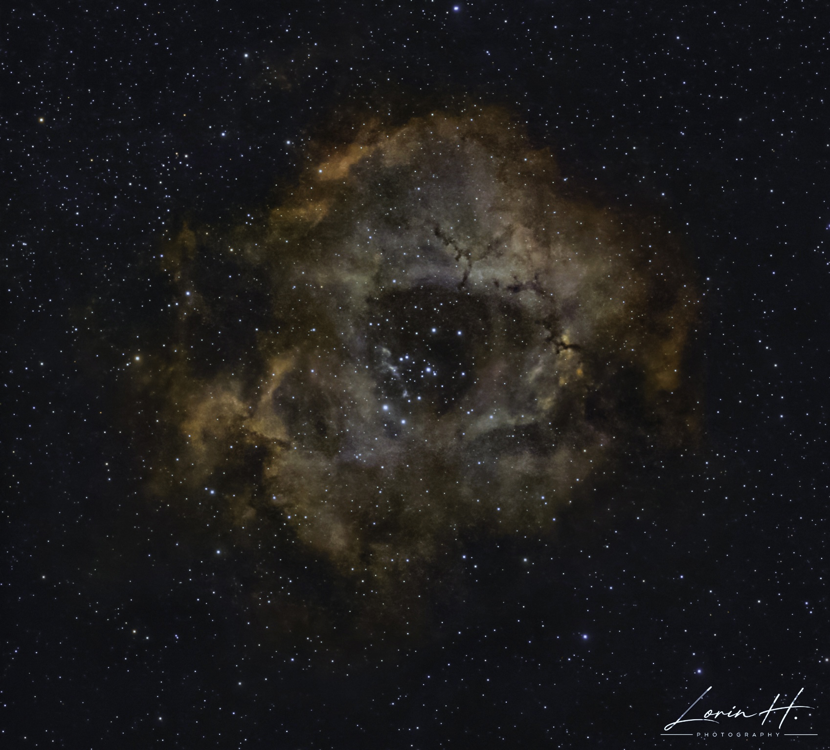 🌹 NGC 2237 — La nébuleuse de la Rosette