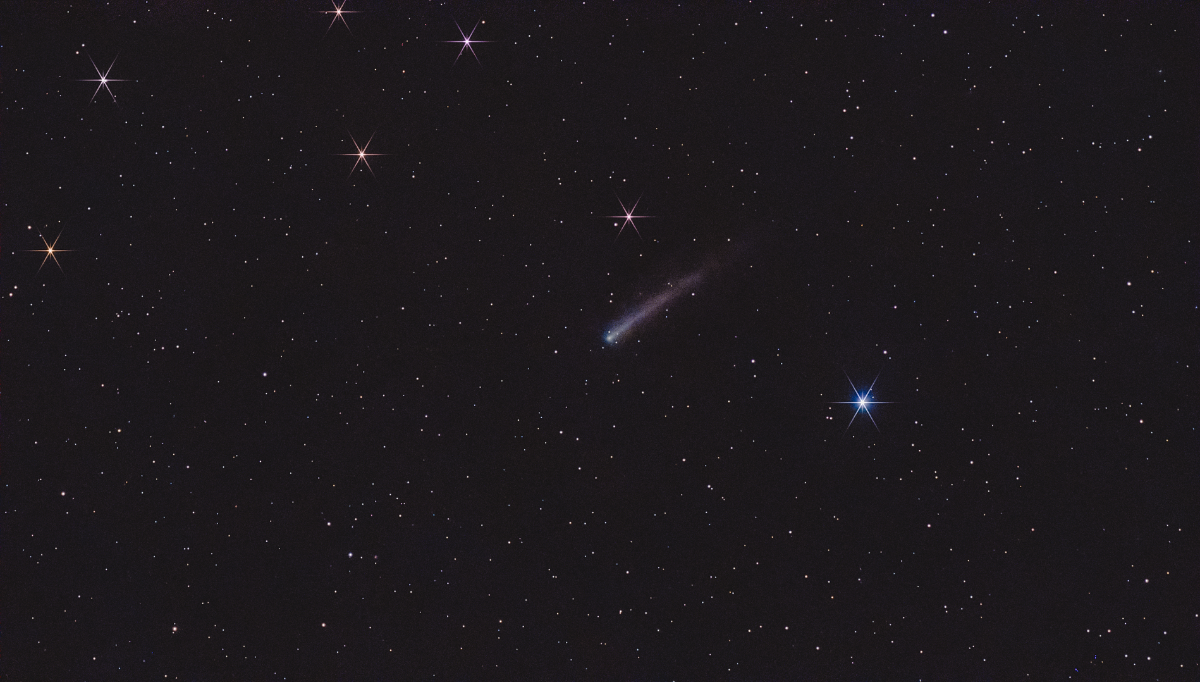 220P/McNaught