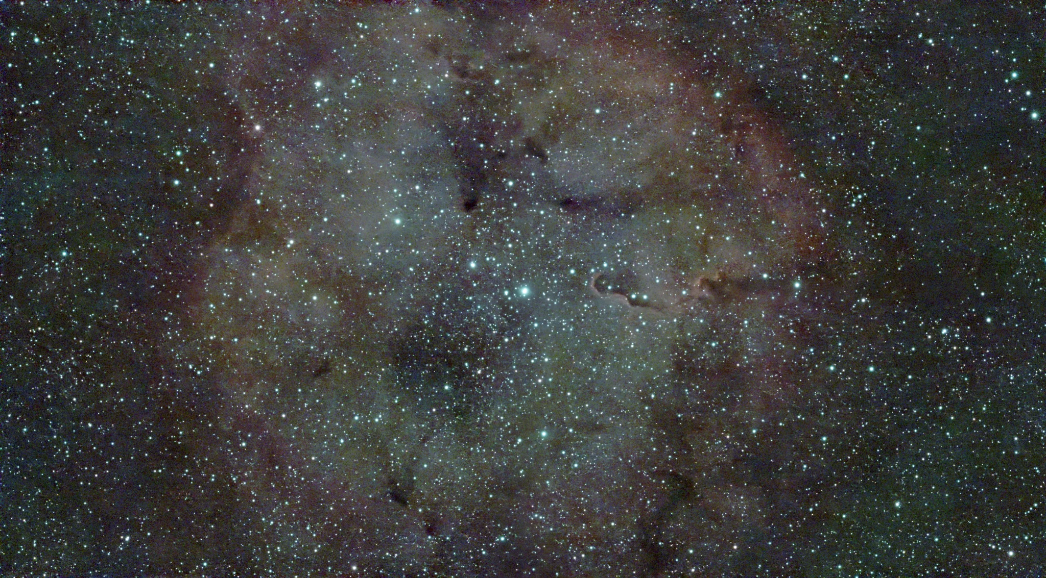 Elephant's Trunk Nebula