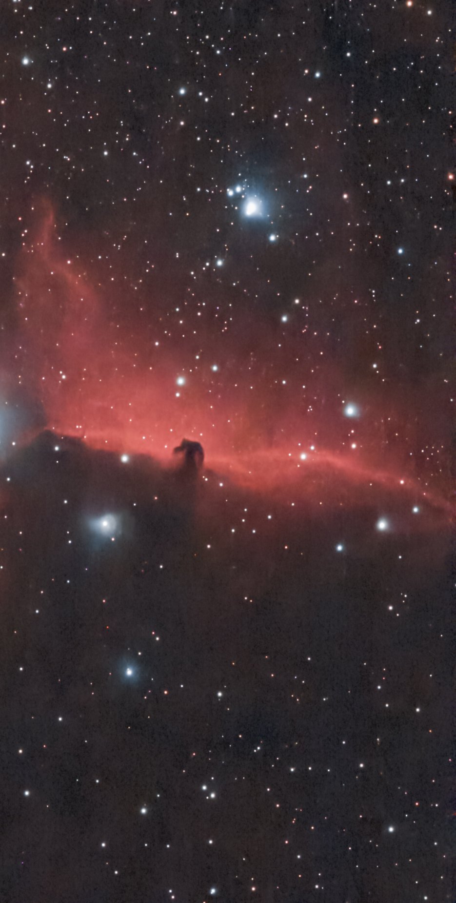 Horsehead nebula