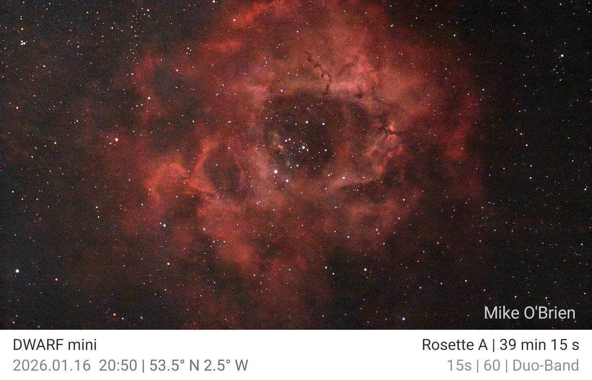 Rosette Nebula