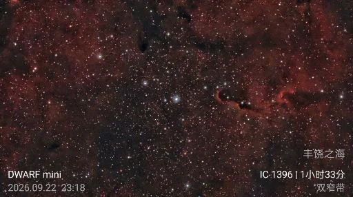 象鼻星云