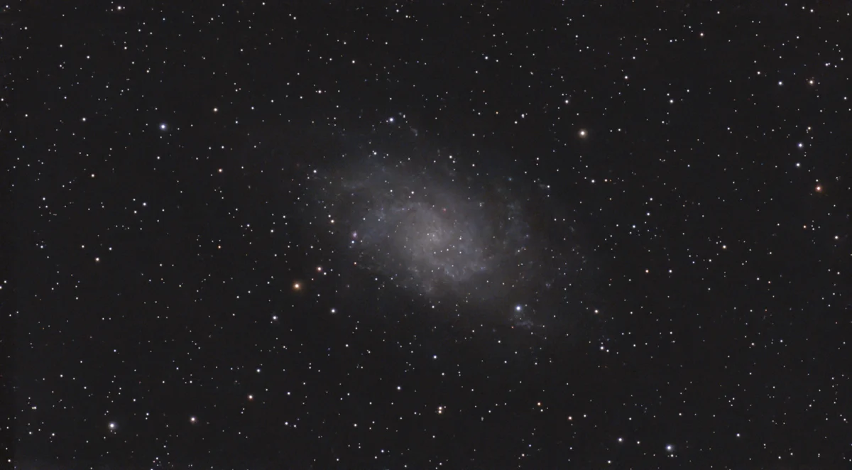 M33
