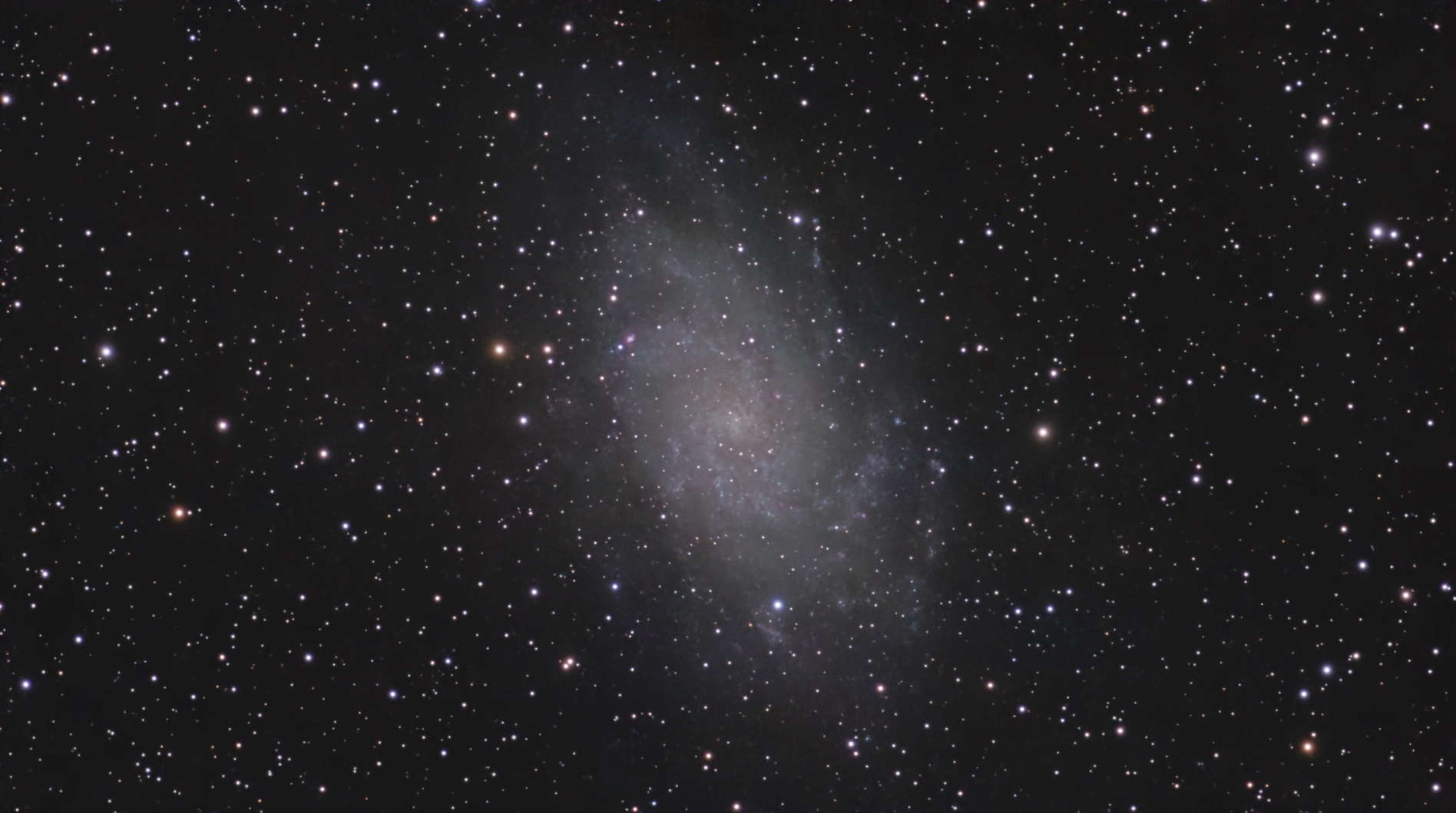 M33