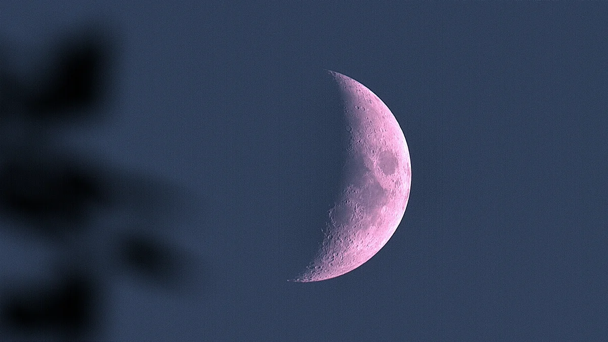 Moon!