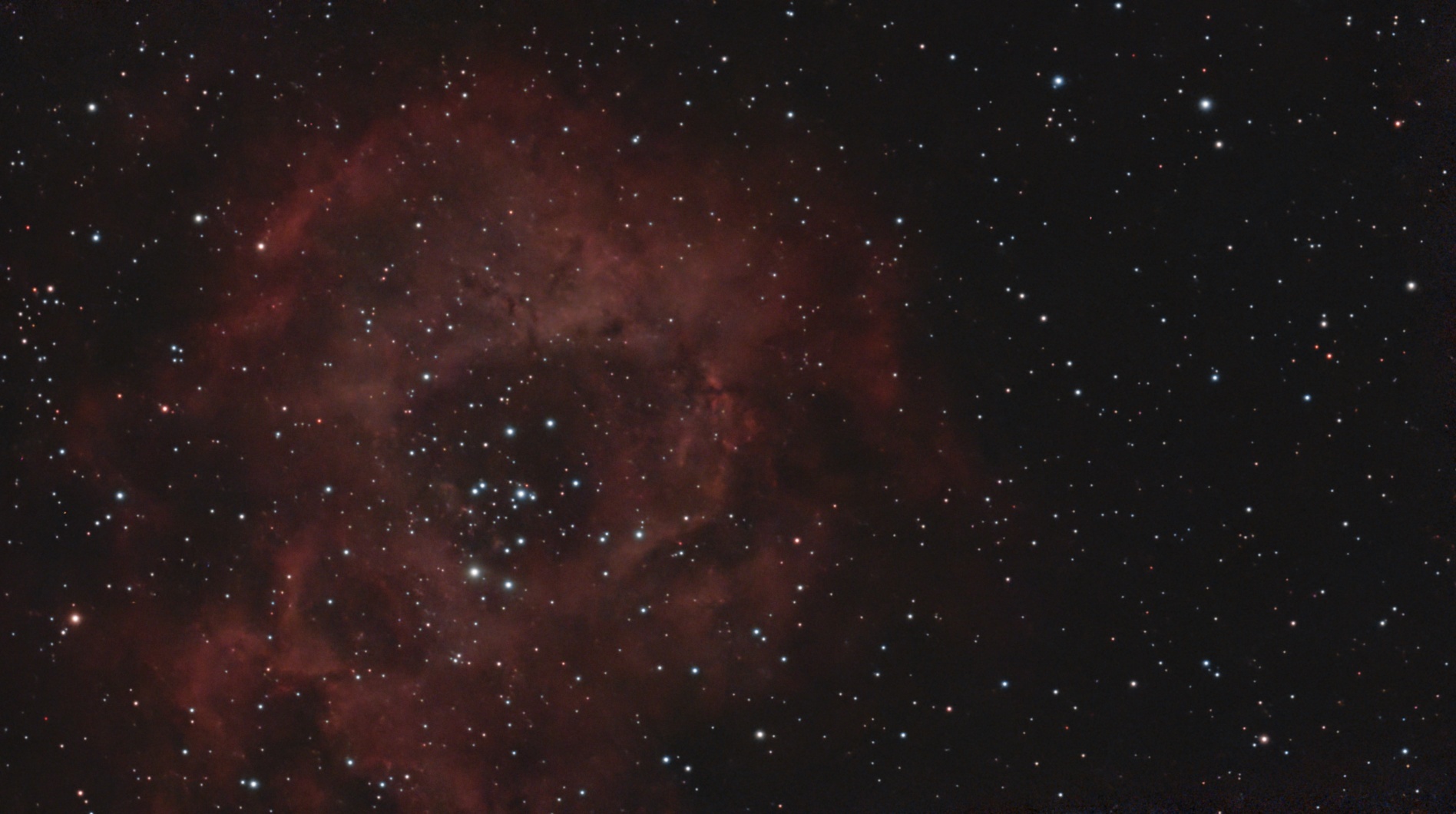 Rosette Nebula