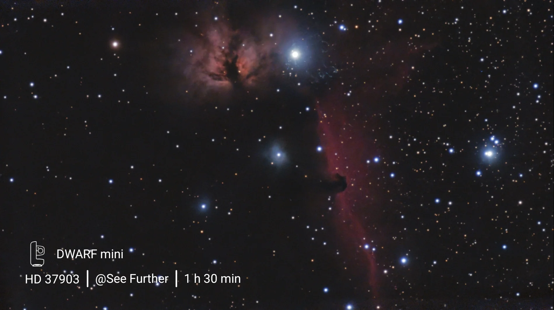 Horse head Nebula