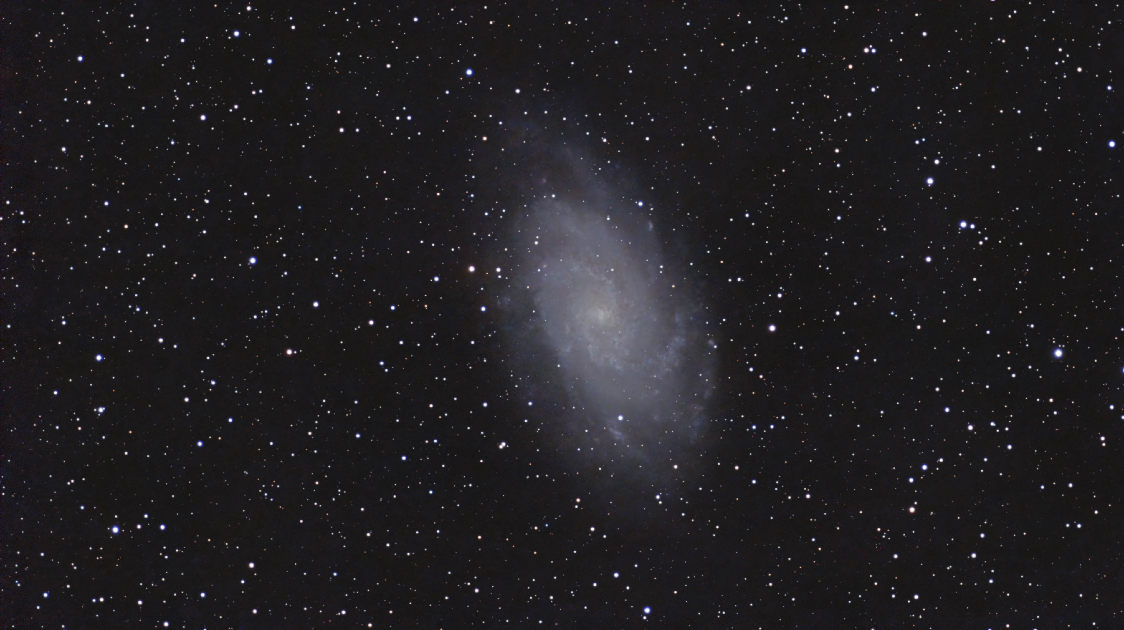 Triangulum Galaxy