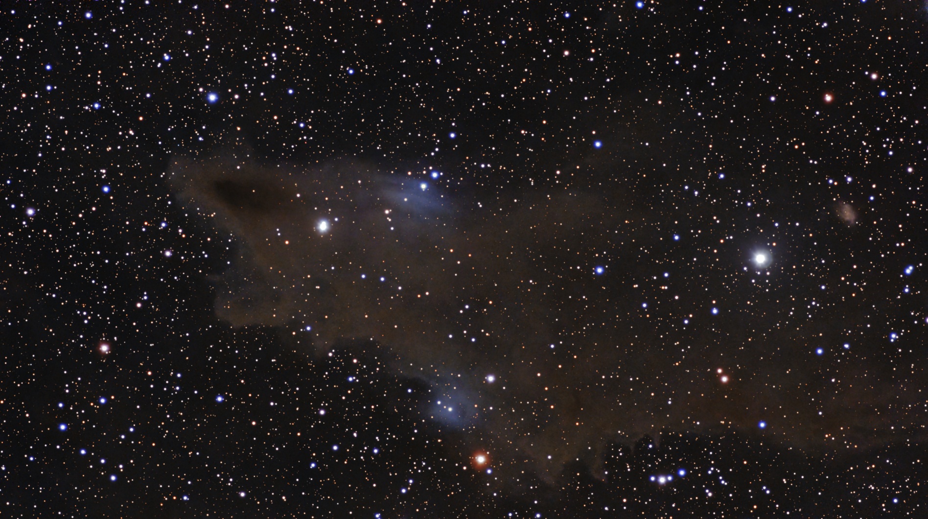 Dark Shark Nebular