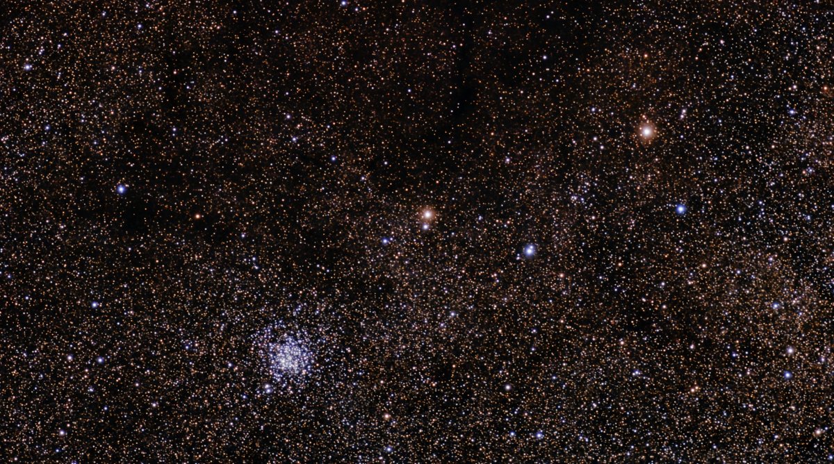 Wild duck cluster
