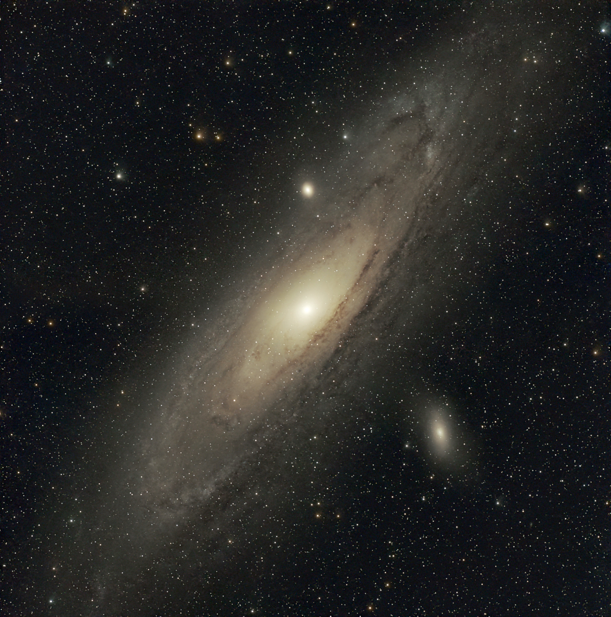 M31