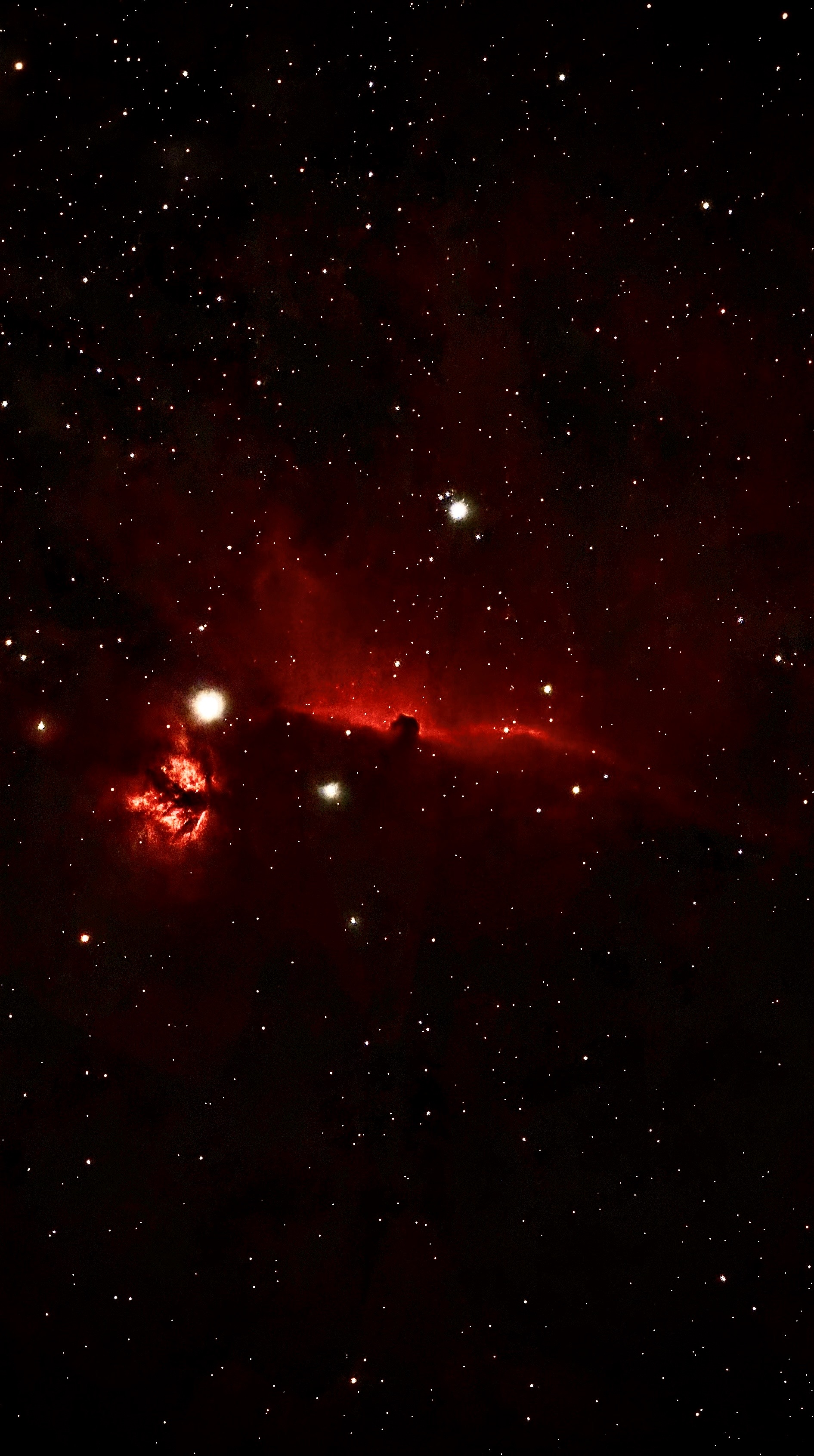 Horsehead nebula