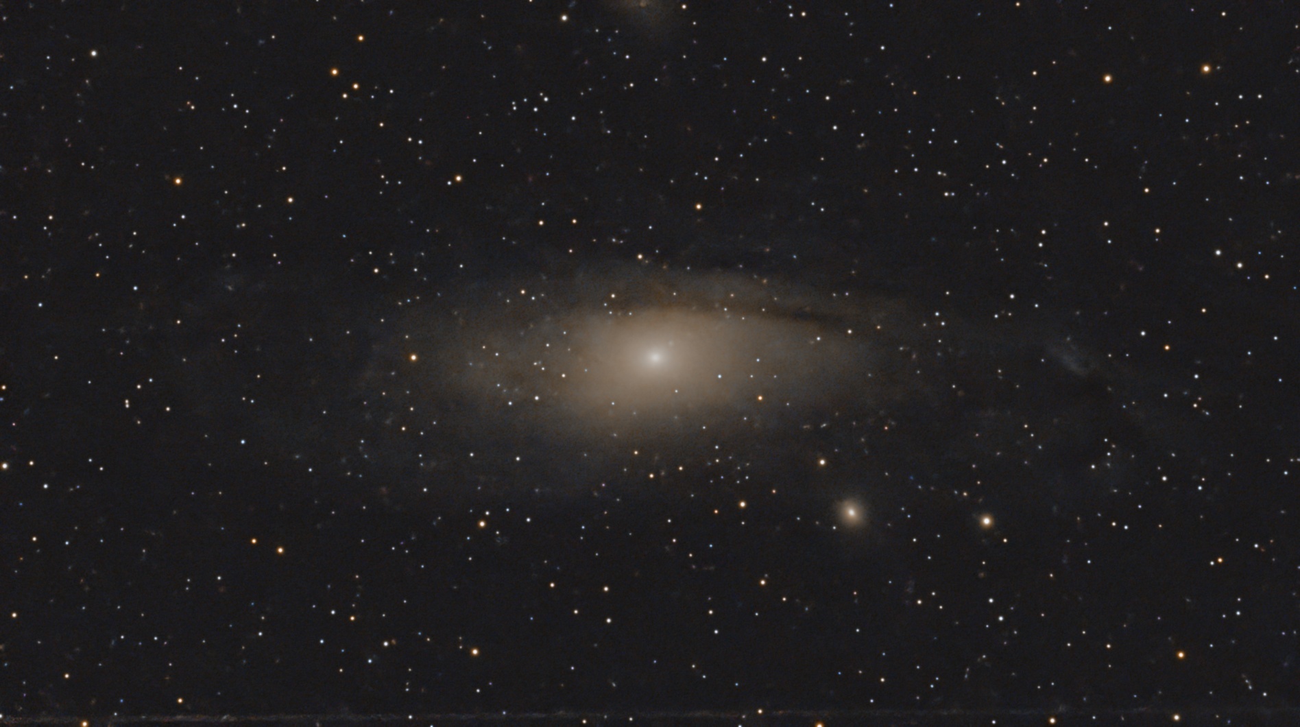 M31