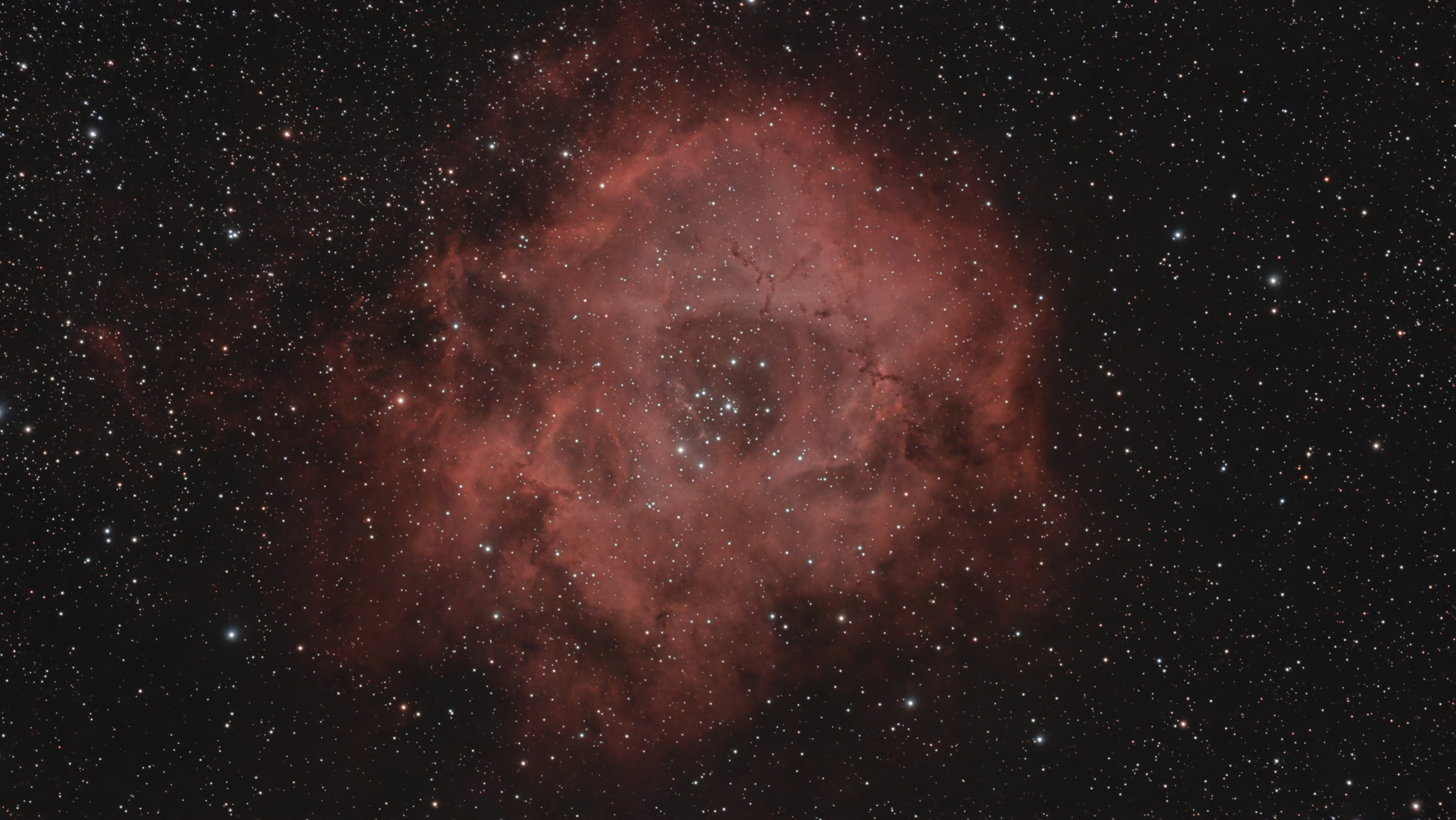 NGC 2237, Caldwell 49 | NGC2244, Caldwell 50