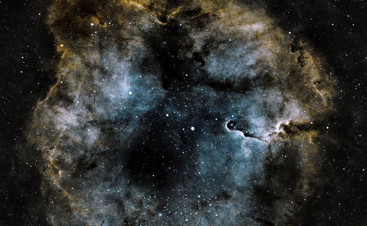 Elephant Trunk Nebula