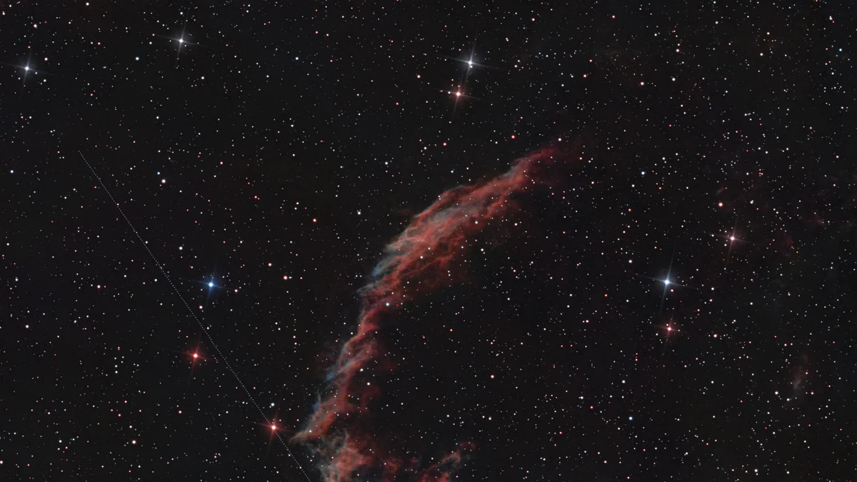 C33