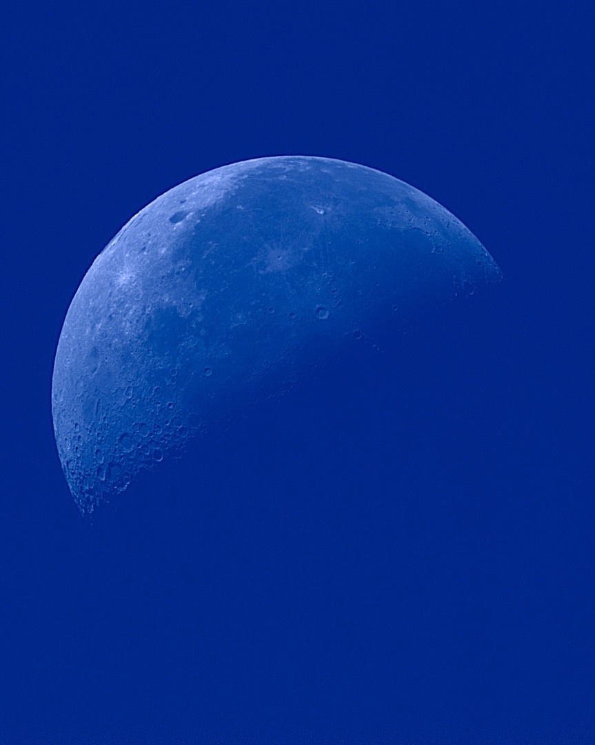 Luna at daylight.