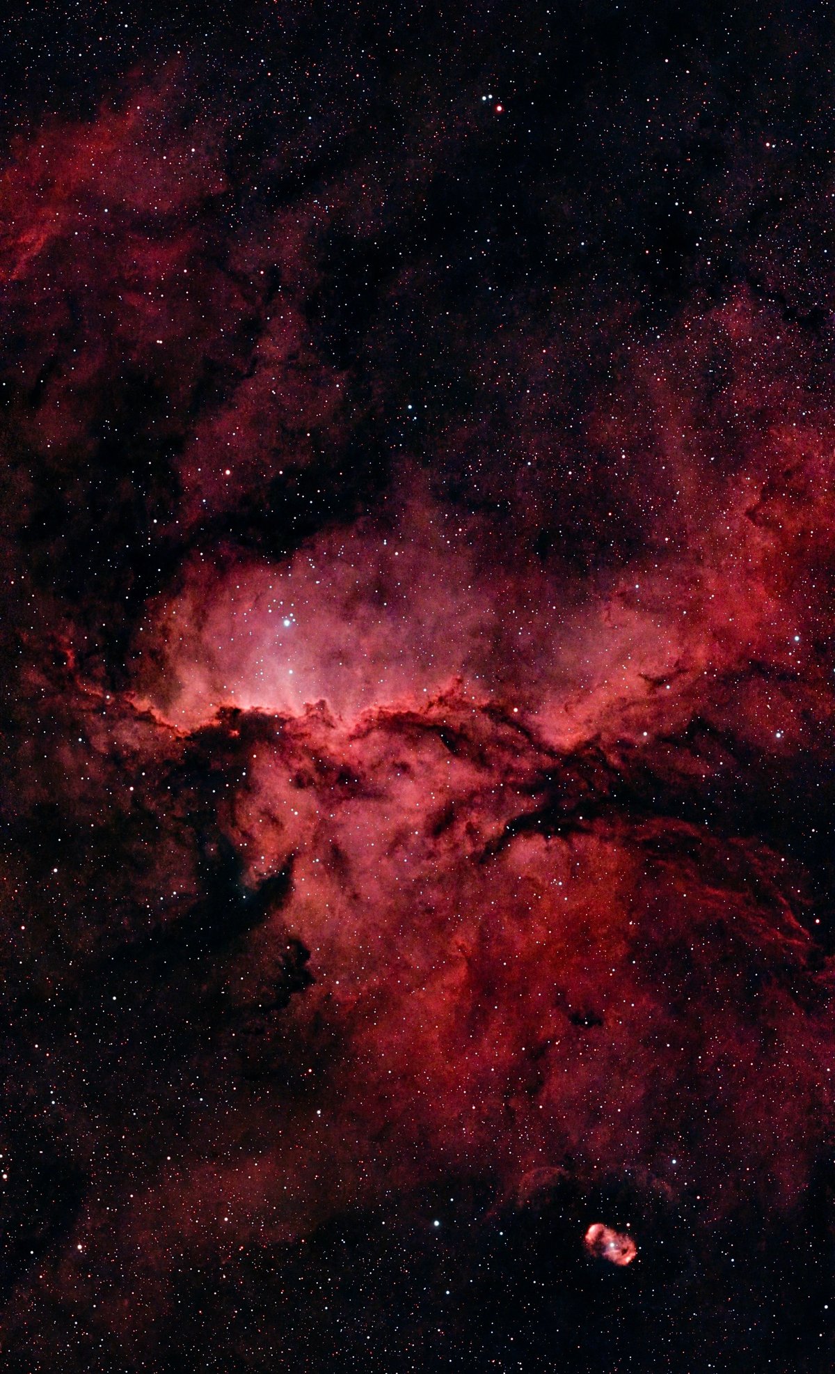 Firebird nebula