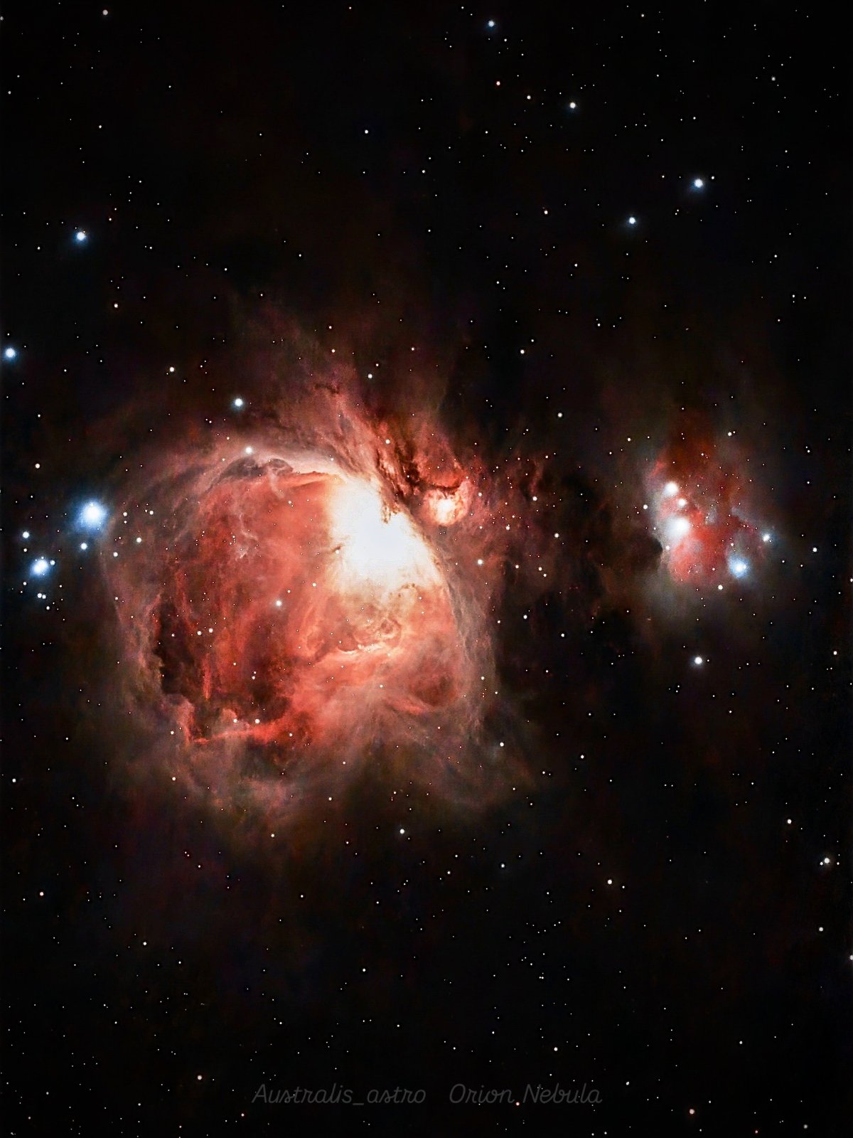 Orion Nebula