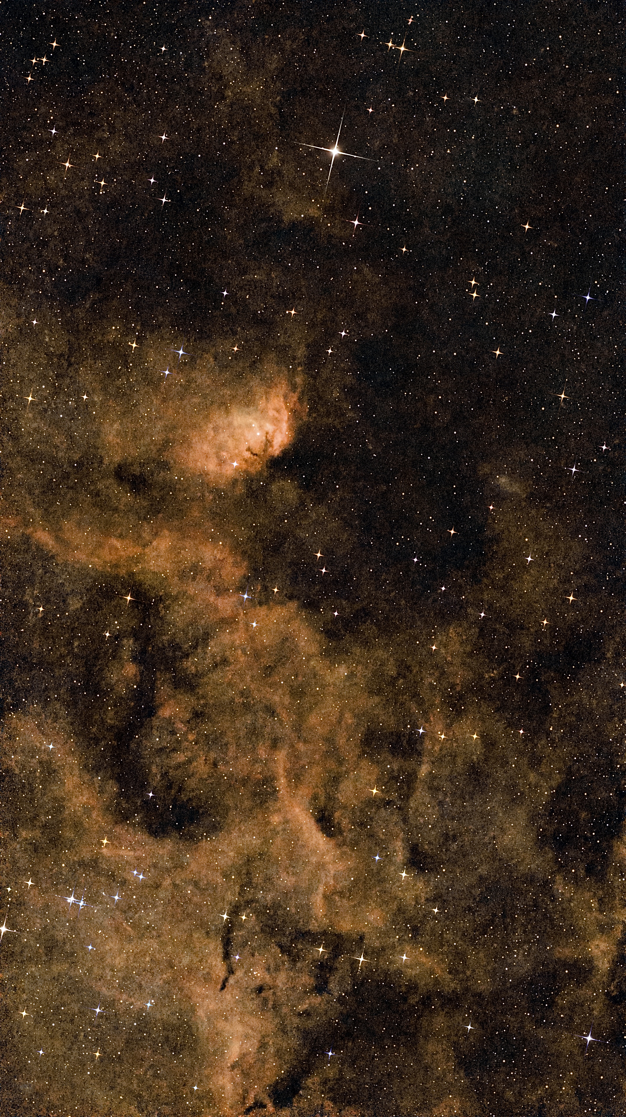 NGC 6871 · Sh2-101 - Tulip Nebula
