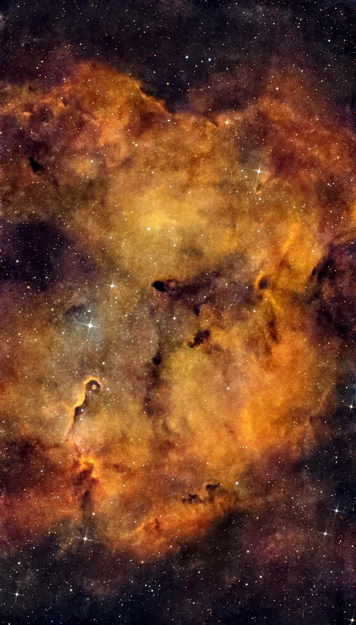 IC1396