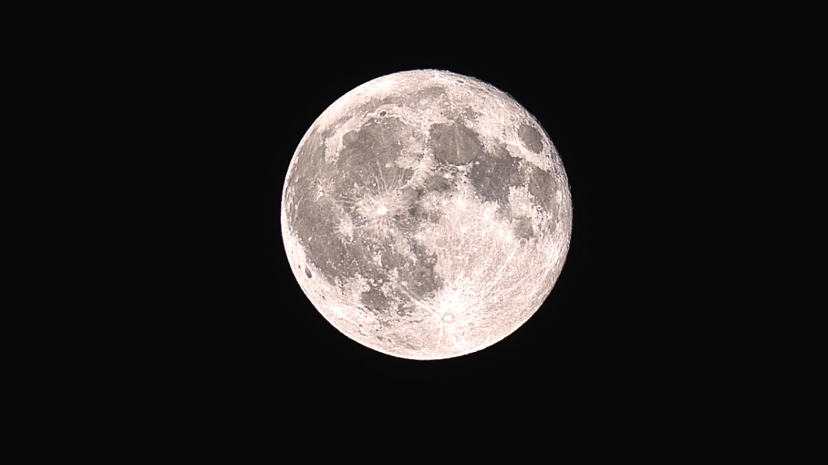 The buck moon