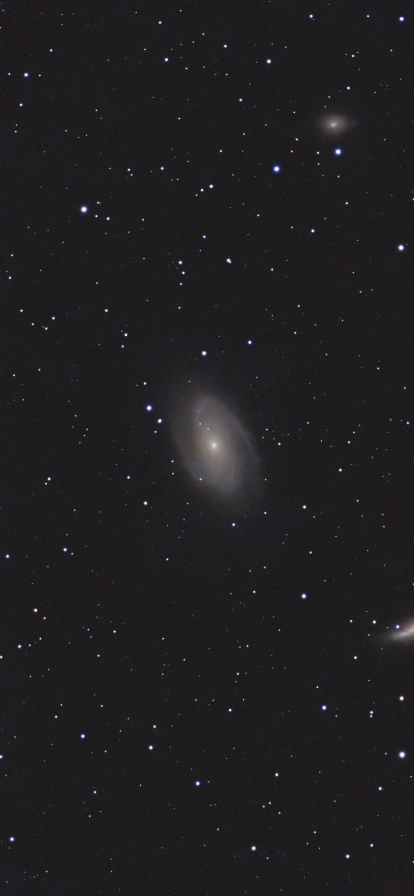 M81