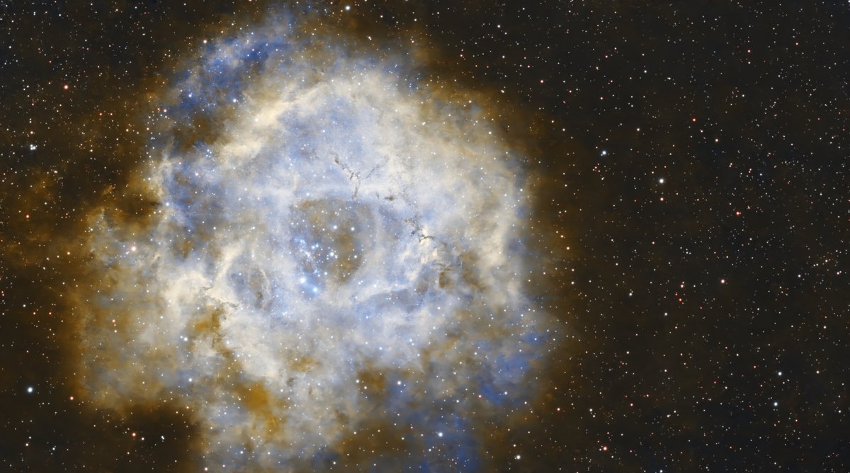 NGC2237