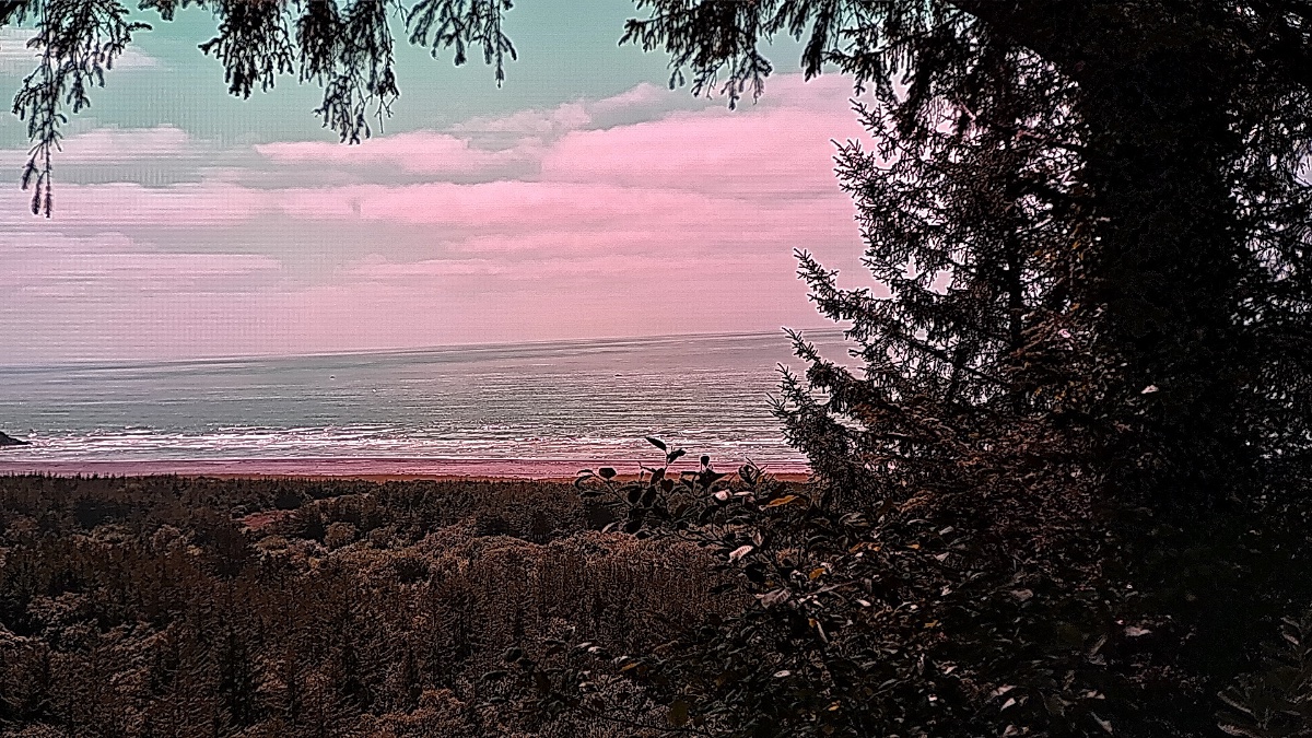 cape disappointment