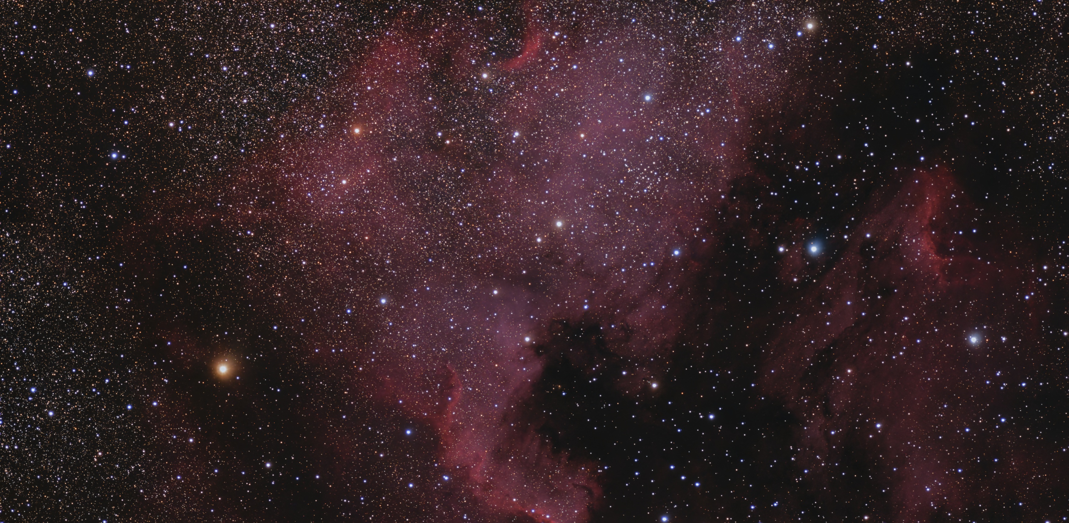 NA Nebula & the Cygnus Wall