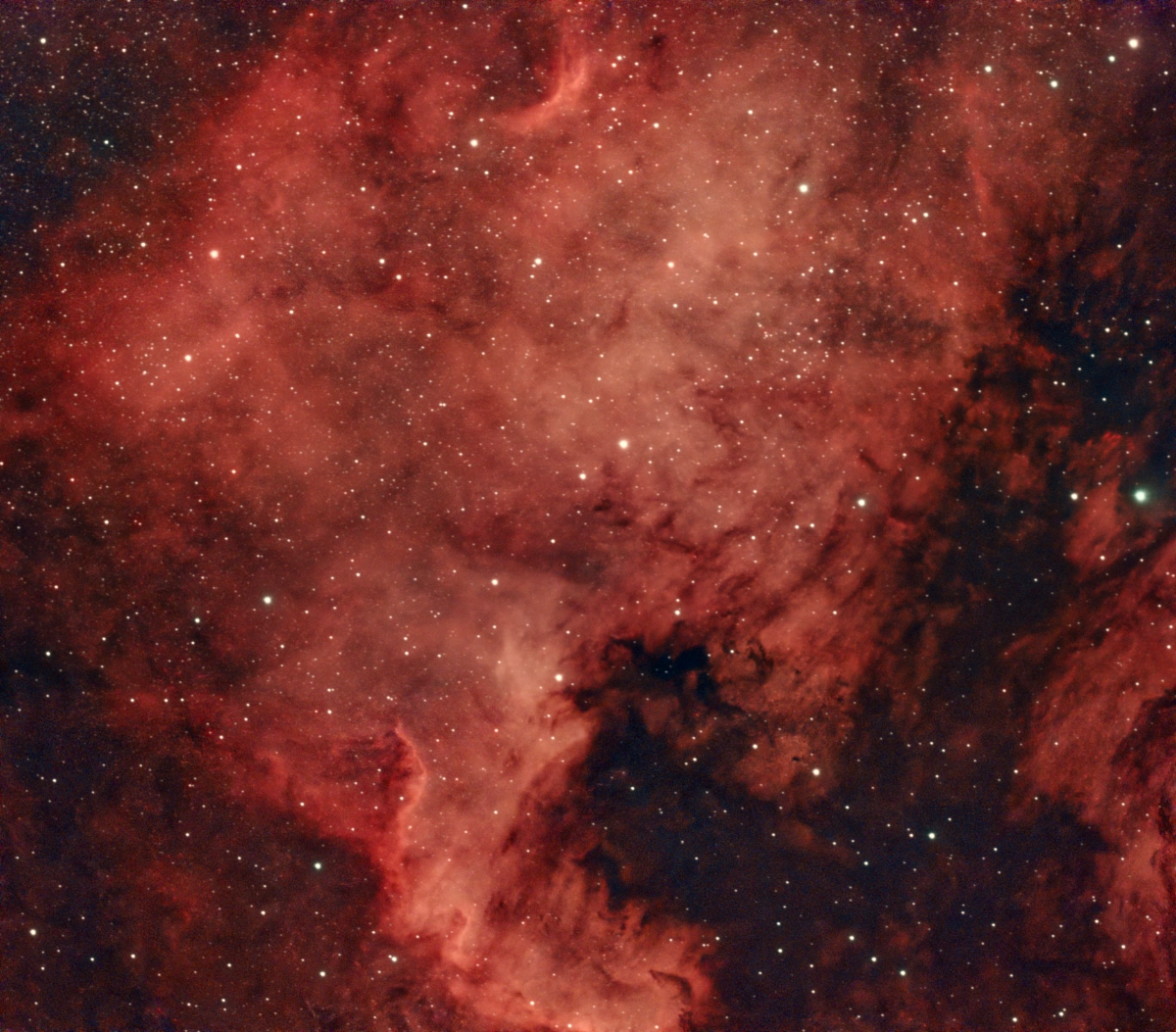 NGC7000
