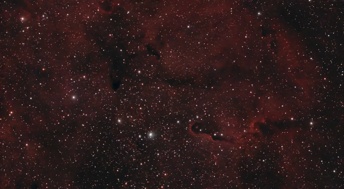Elephant Trini nebula (part of)