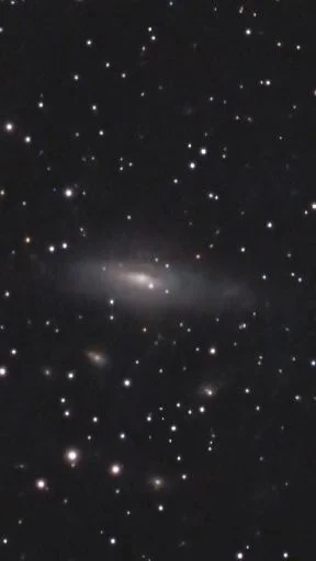 NGC 7331