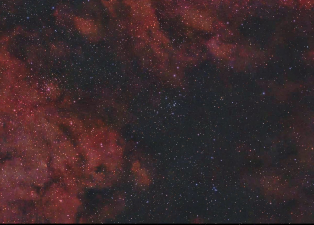 Pelican nebula