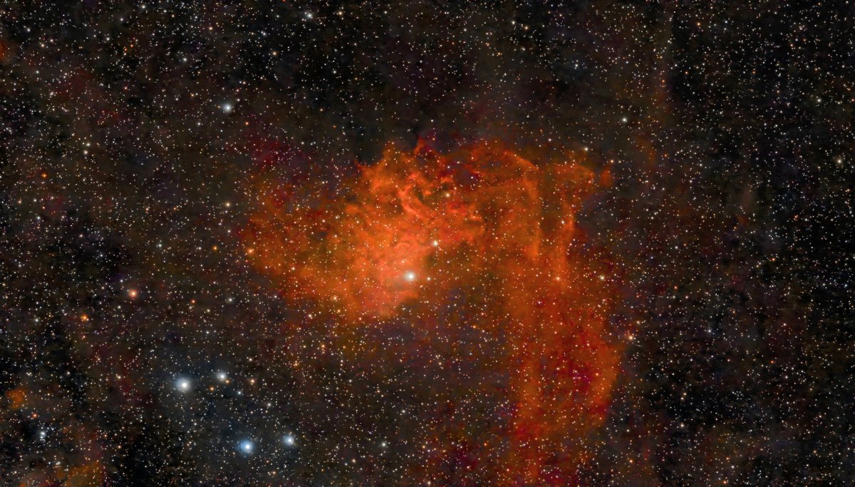 The Flaming Star Nebula