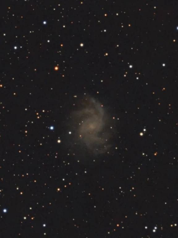 C12