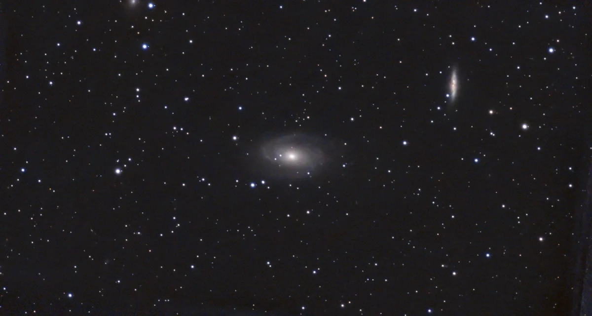 M81