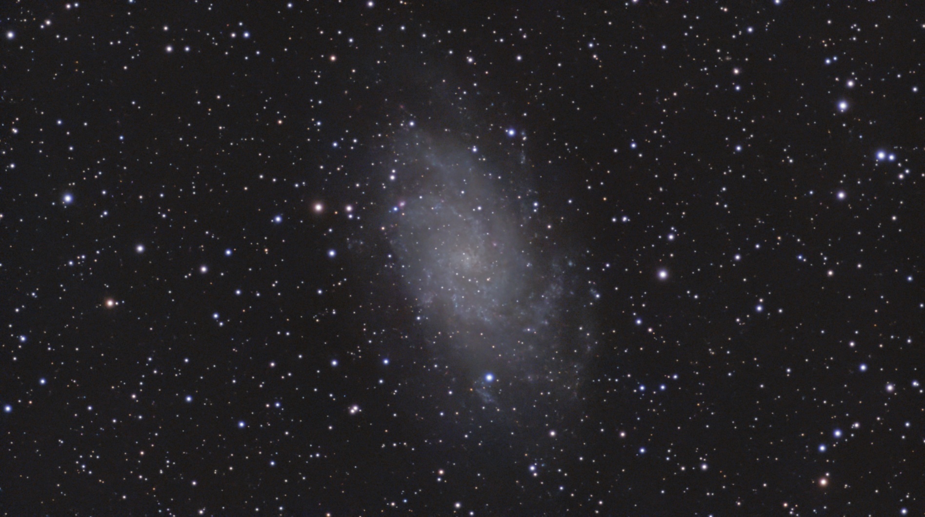 M33