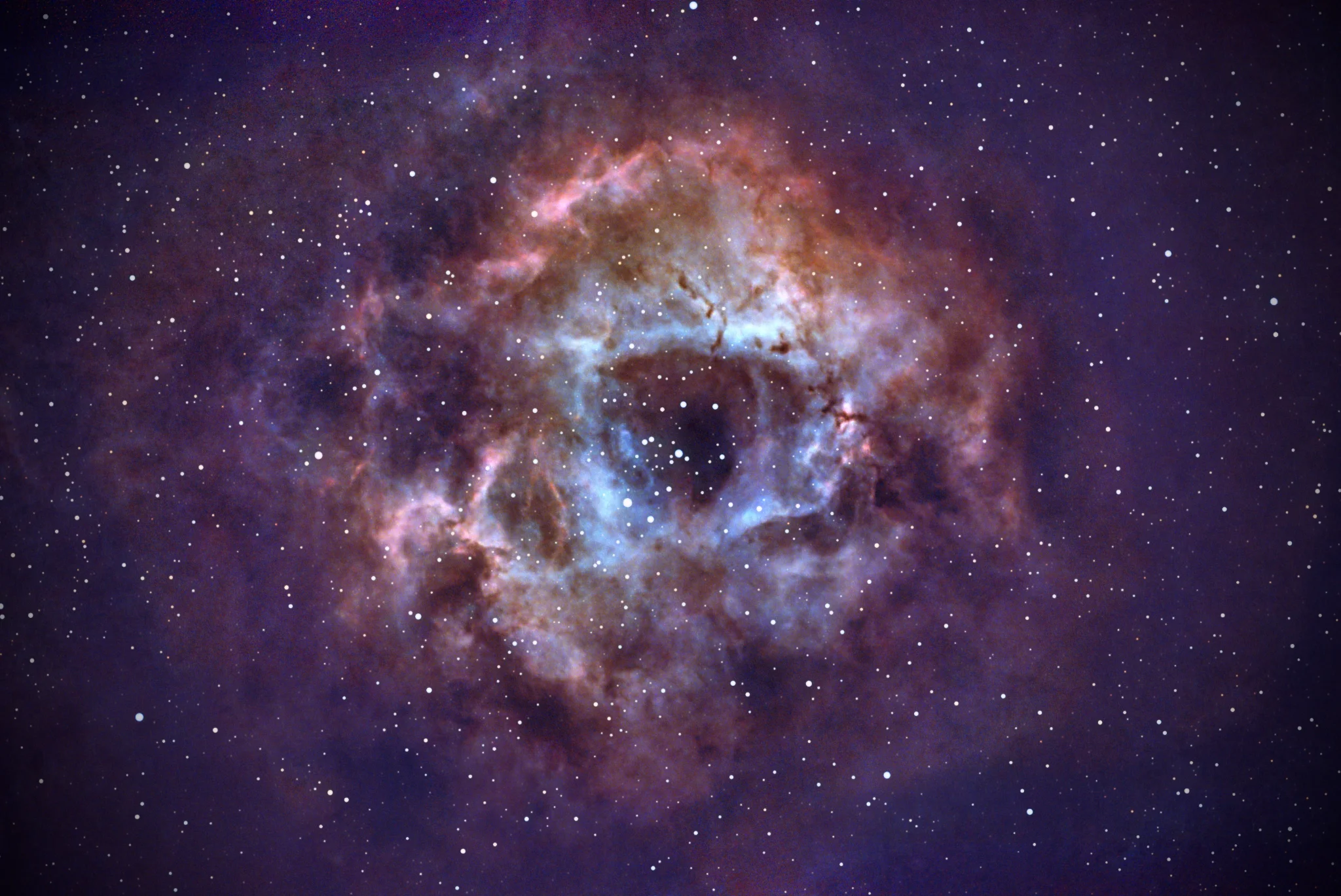 C50 Rosetta Nebula