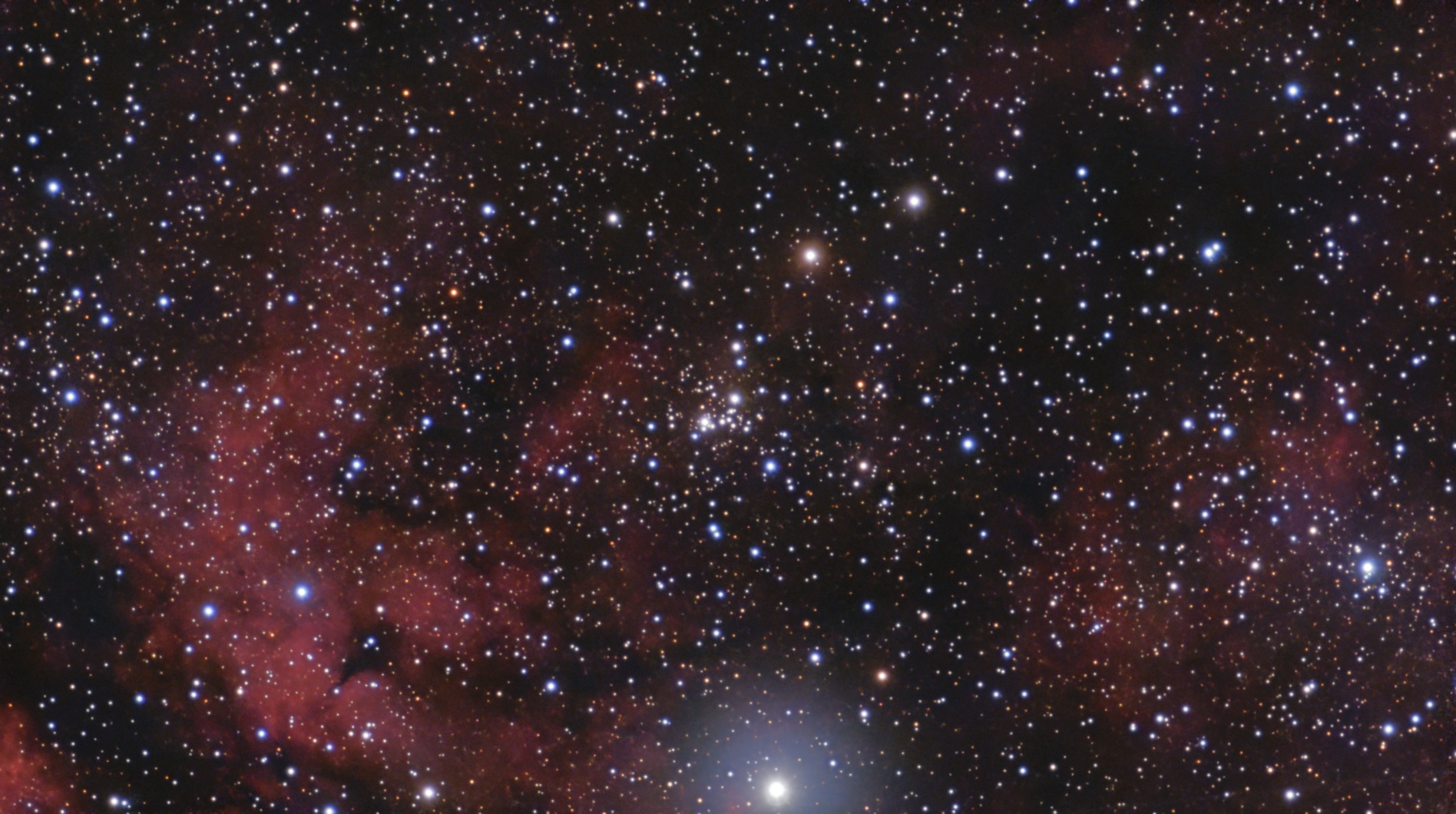NGC 6910 Inchworm cluster/rocking horse cluster