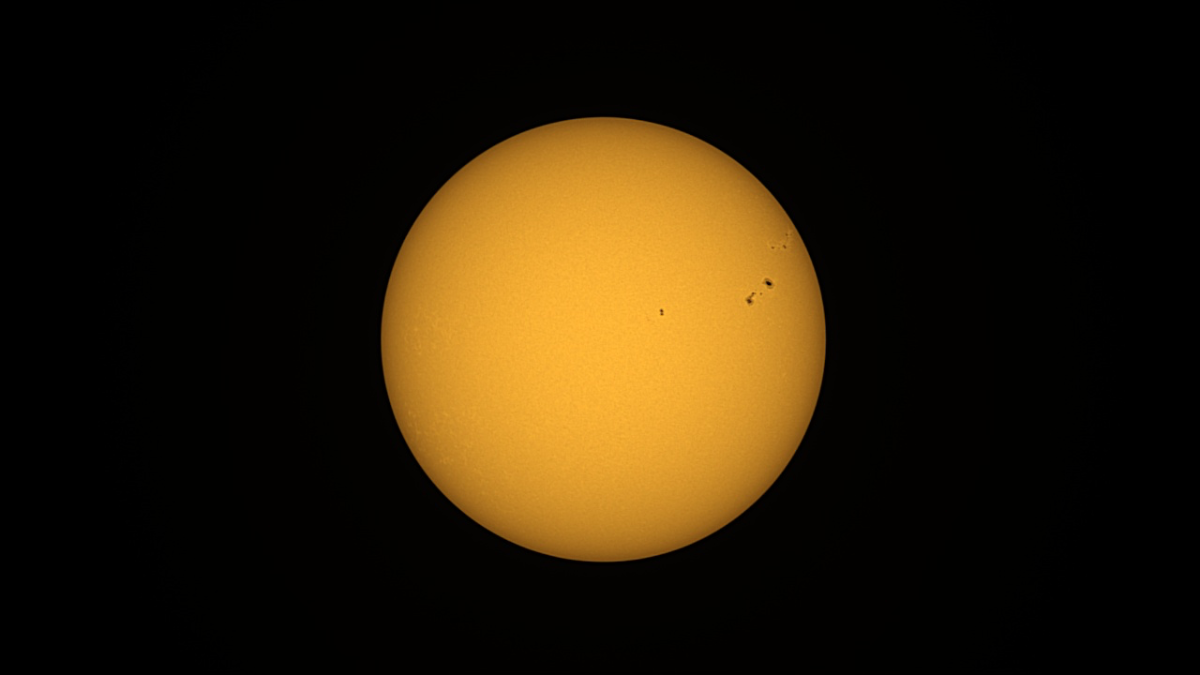 Sole