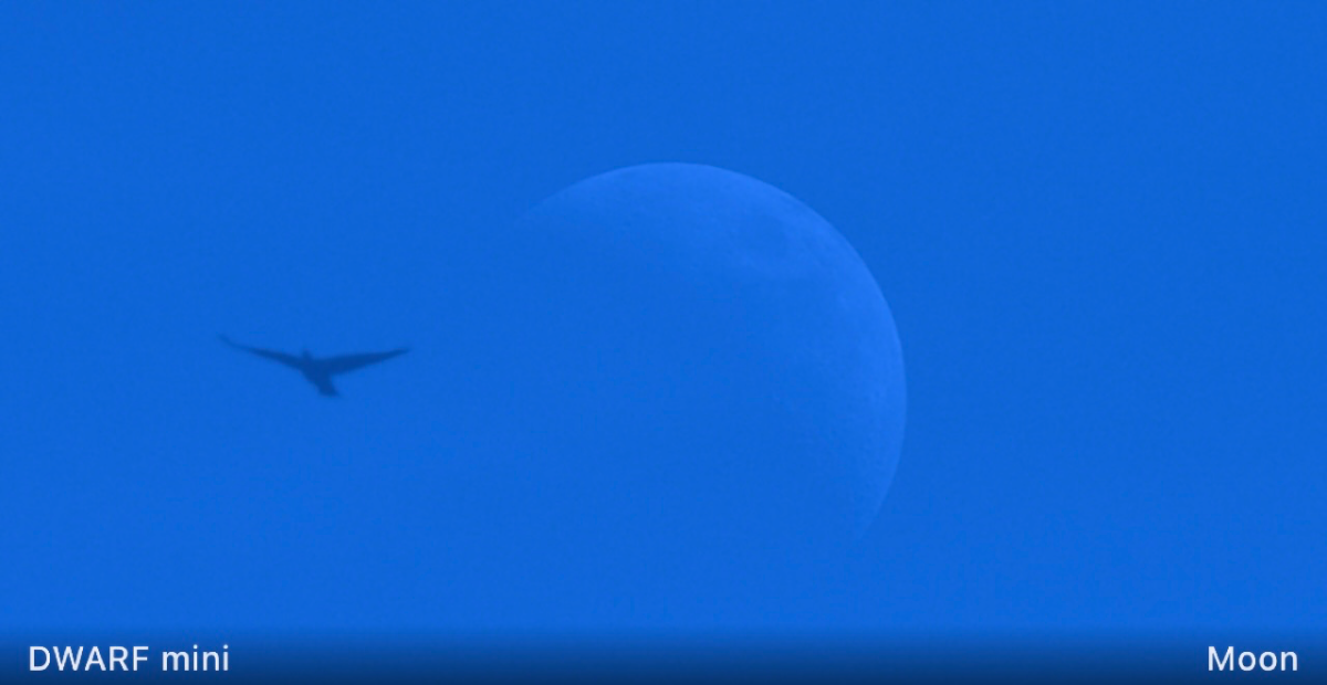 Moon